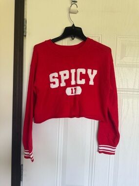 2 for $30 sale: No boundaries red spicy cropped sweater - M